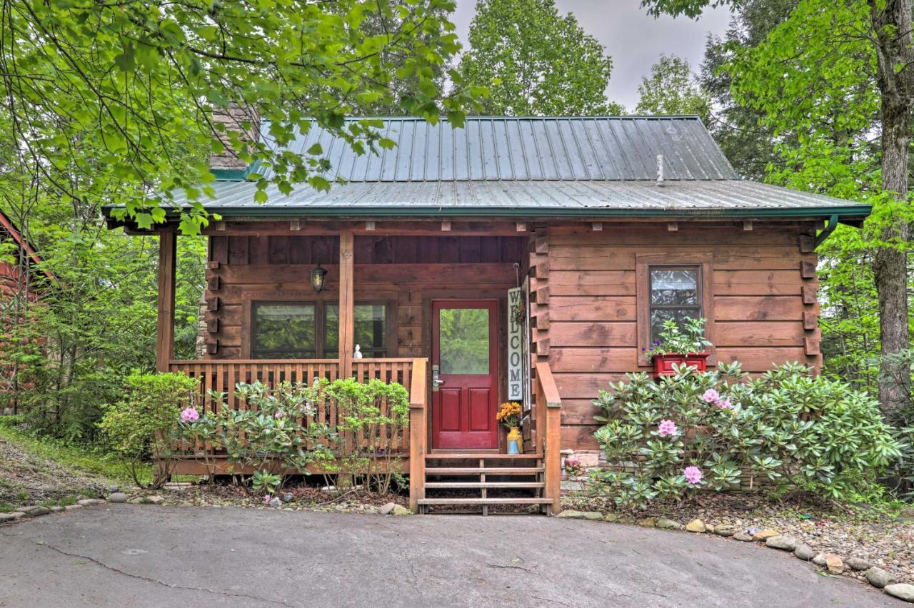 Appartement Romantic Gatlinburg Cabin With Hot Tub And Pool Access Extérieur photo